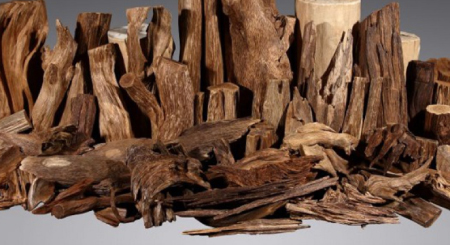 Tìm hiểu về gỗ tự nhiên